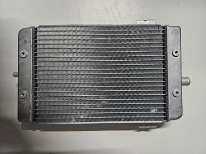 Kawasaki KFX700 Radiator 05